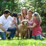 Pet Insurance: A Comprehensive Guide for Pet Owners