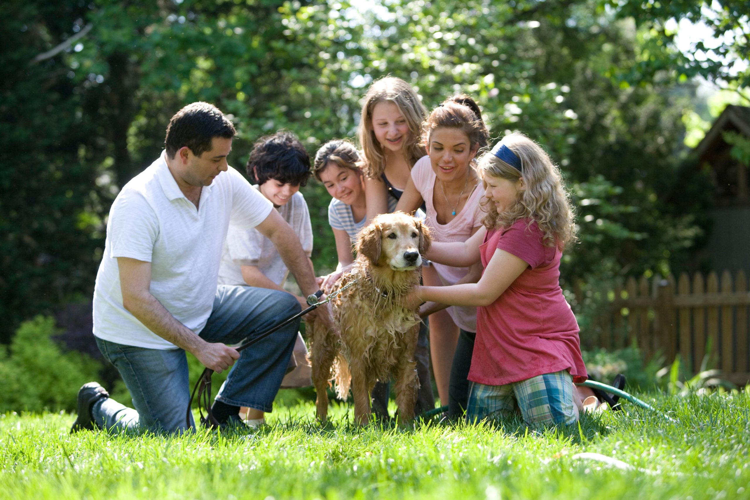 Pet Insurance: A Comprehensive Guide for Pet Owners